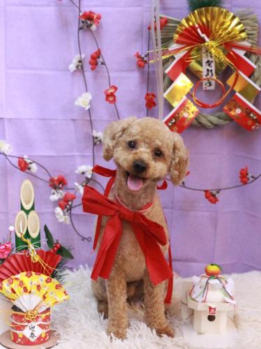 20230126マロンくん